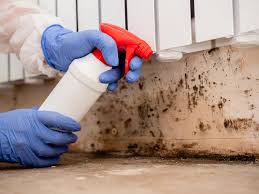 Best Asbestos and Lead Testing During Mold Inspection  in USA